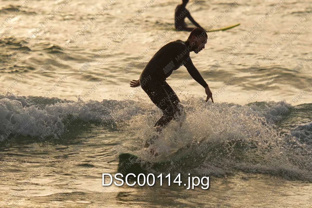 DSC00114.jpg
