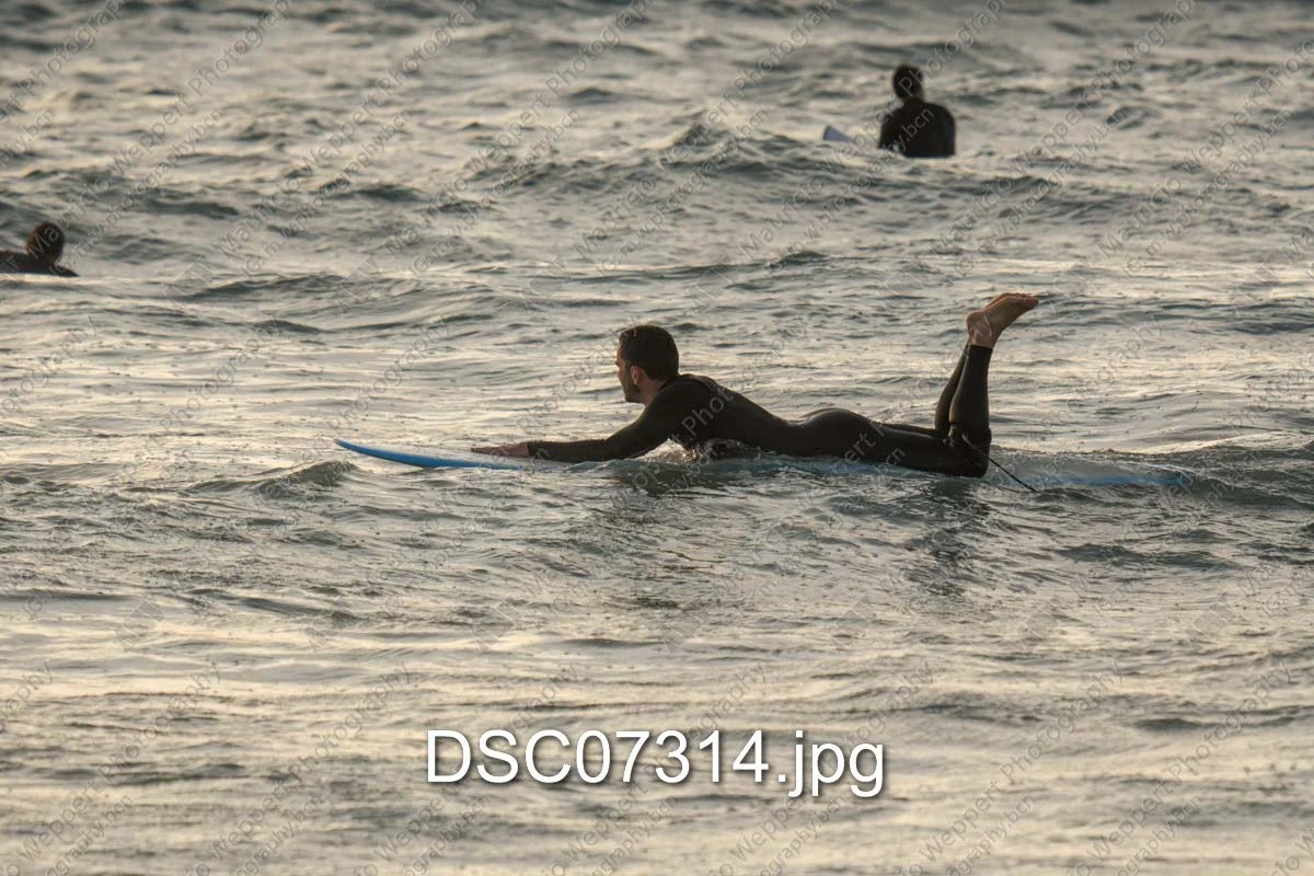 DSC07314.jpg