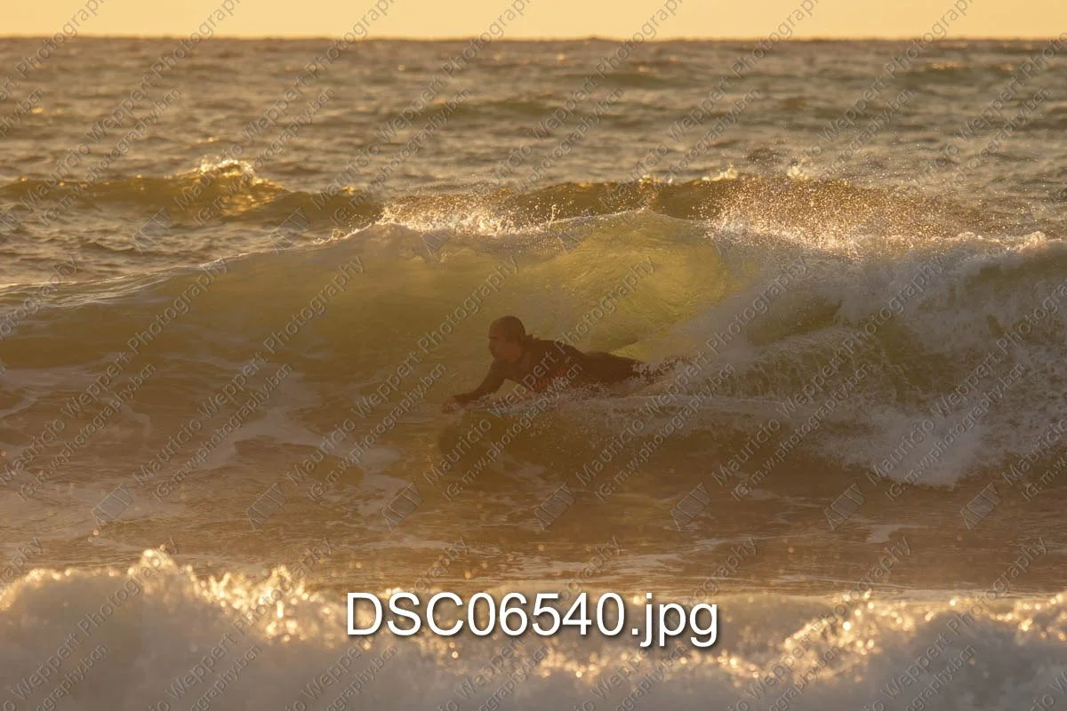 DSC06540.jpg