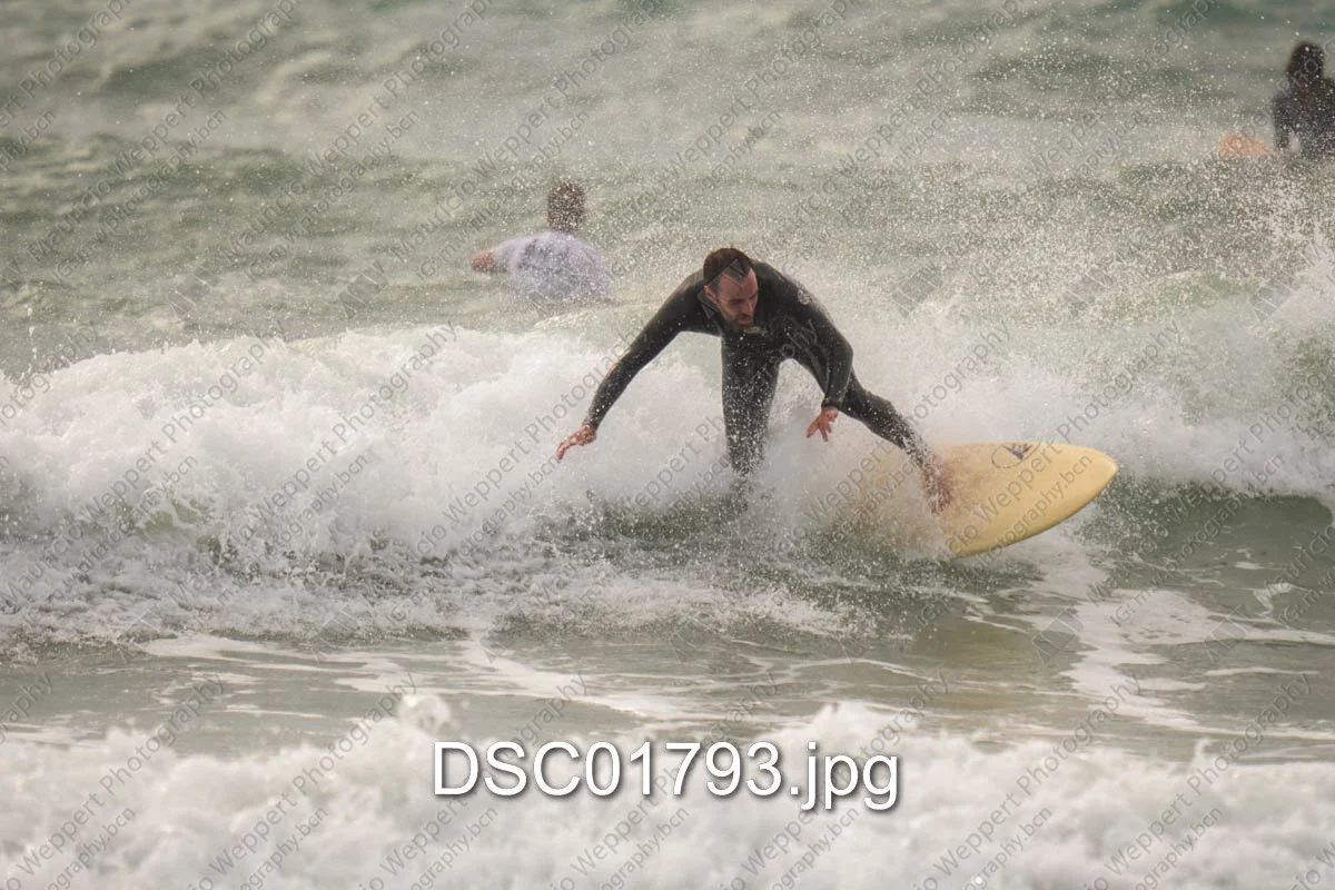 DSC01793.jpg