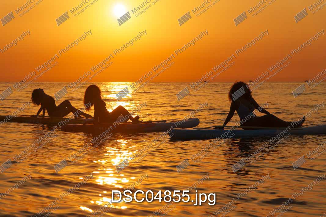 DSC04855.jpg