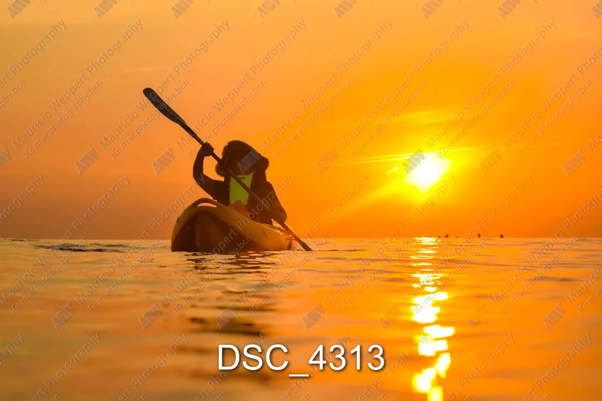 DSC_4313.jpg