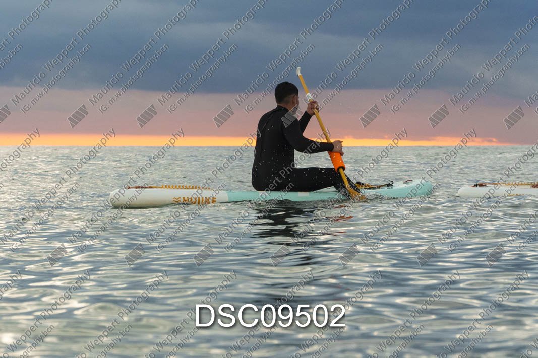DSC09502.jpg