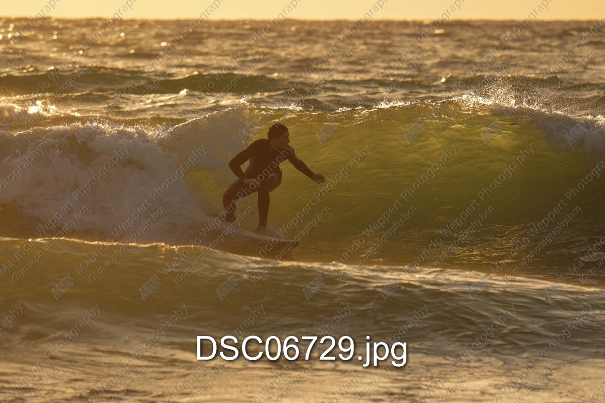 DSC06729.jpg