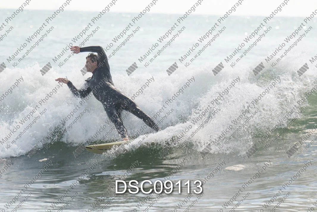 DSC09113.jpg
