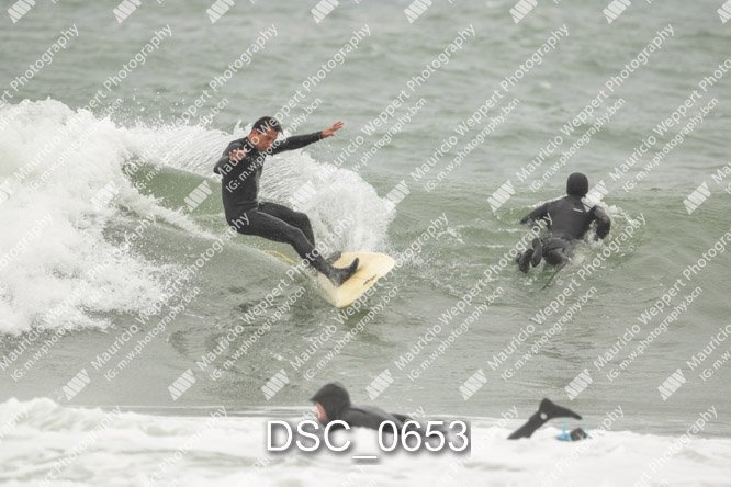DSC_0653.jpg