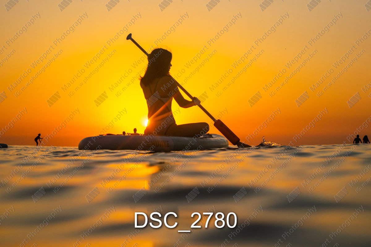 DSC_2780.jpg