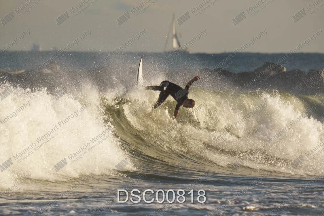 DSC00818.jpg
