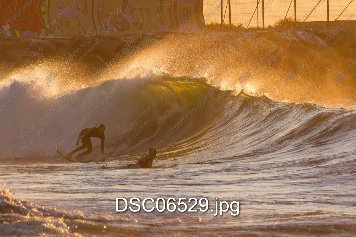 DSC06529.jpg
