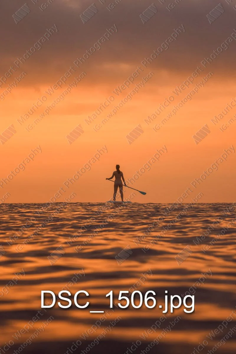 DSC_1506.jpg