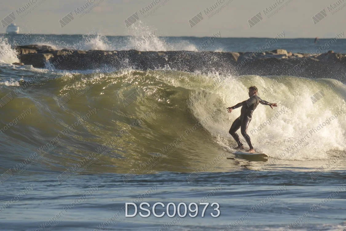 DSC00973.jpg