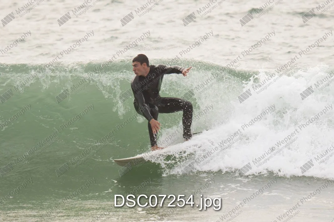 DSC07254.jpg