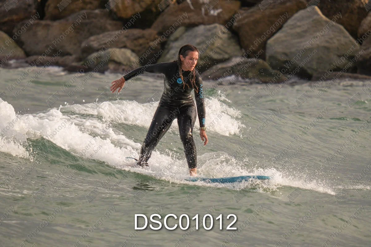DSC01012.jpg