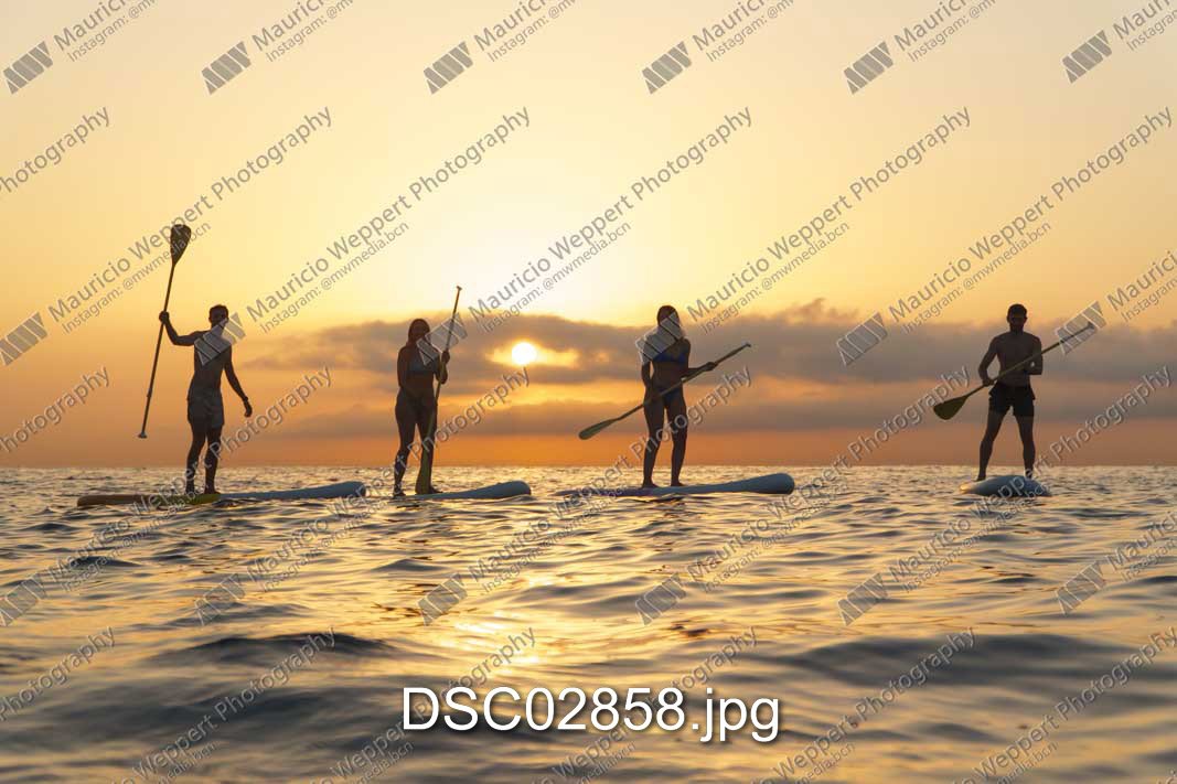 DSC02858.jpg