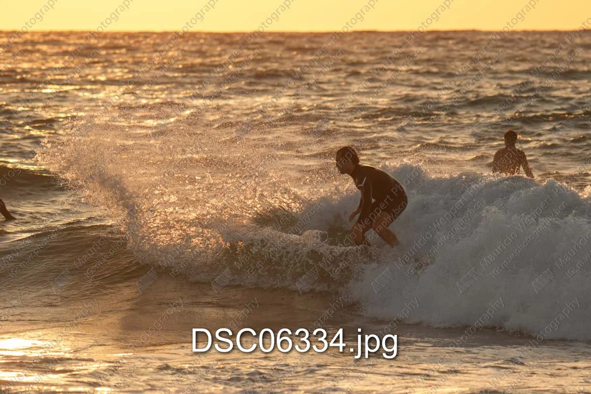 DSC06334.jpg