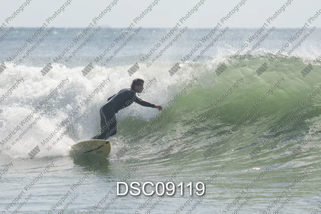 DSC09119.jpg