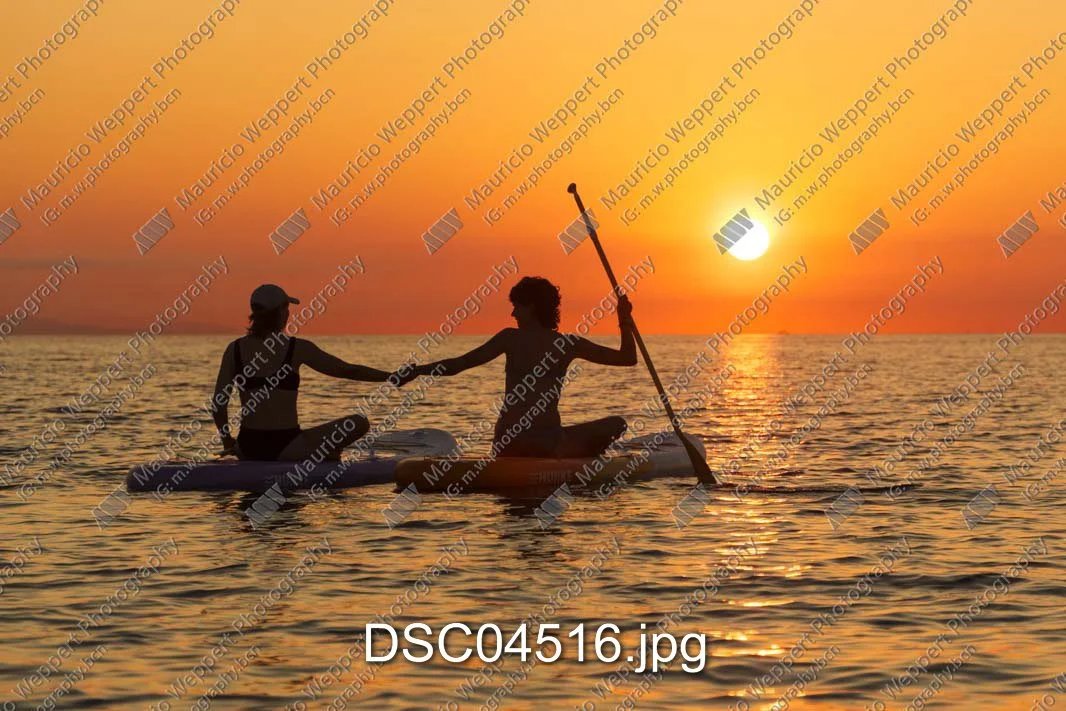 DSC04516.jpg