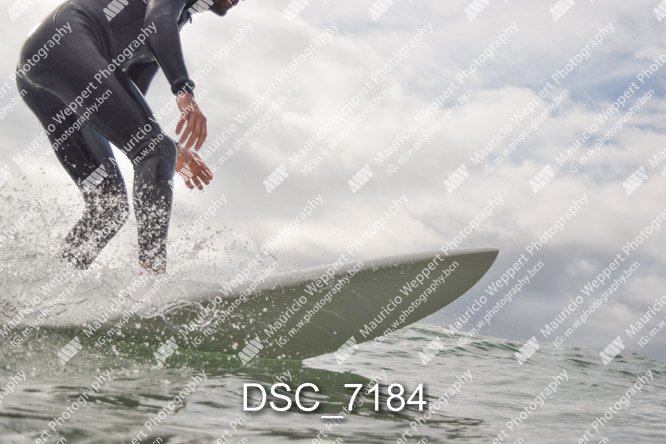 DSC_7184.jpg