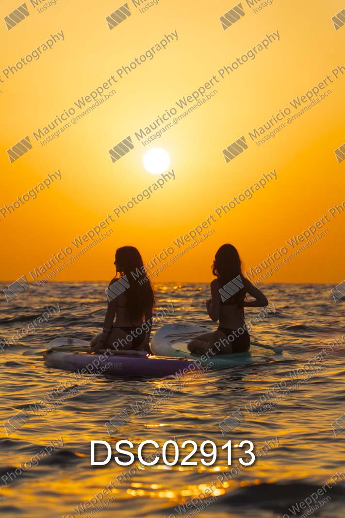 DSC02913.jpg