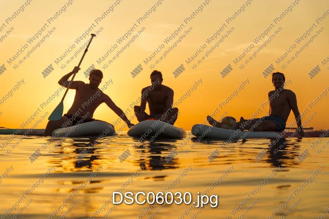 DSC06030.jpg