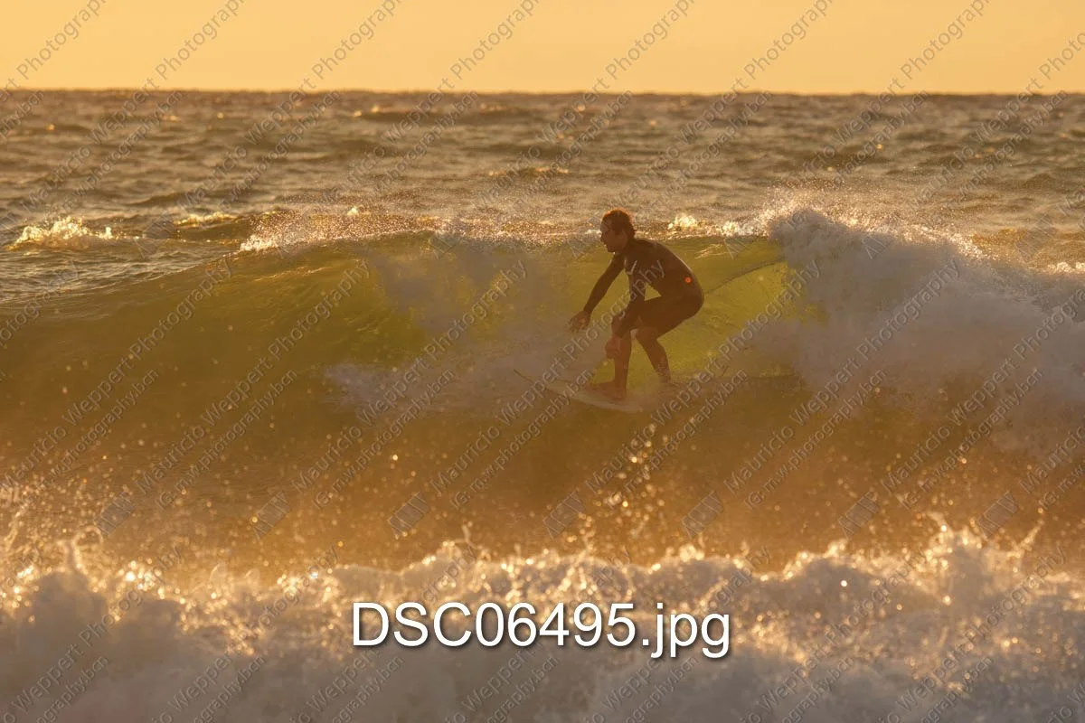 DSC06495.jpg