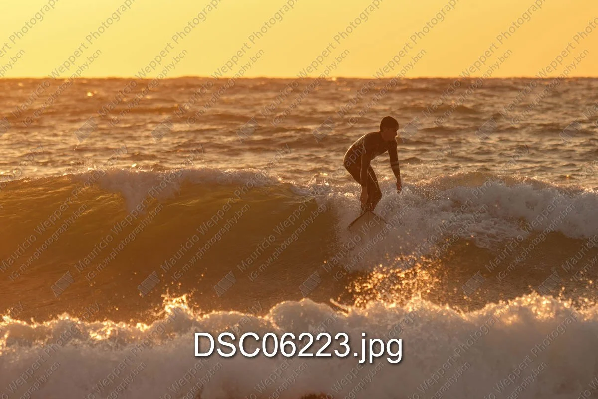 DSC06223.jpg