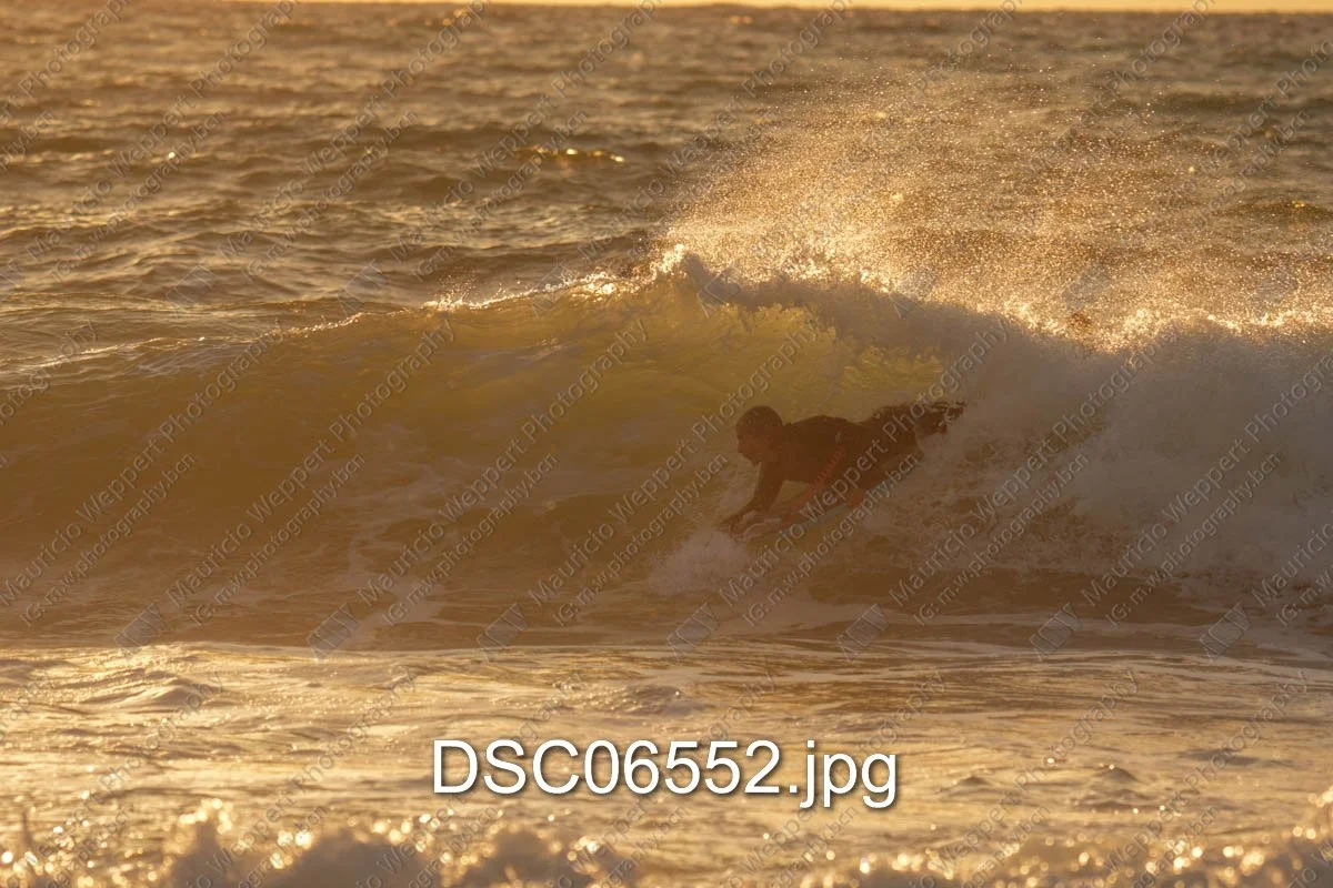 DSC06552.jpg