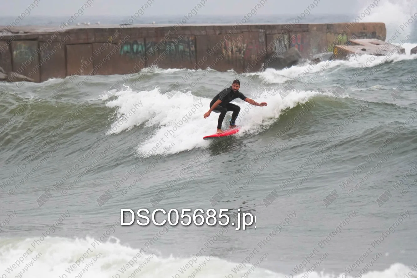 DSC05685.jpg