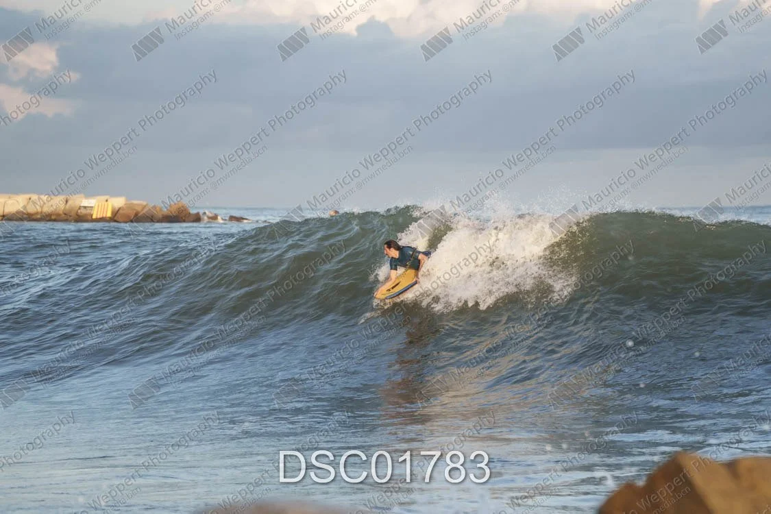 DSC01783.jpg