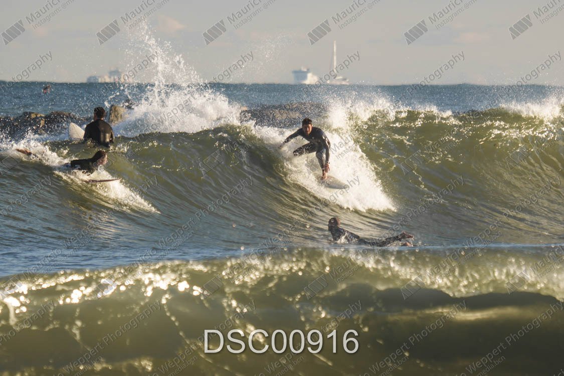 DSC00916.jpg