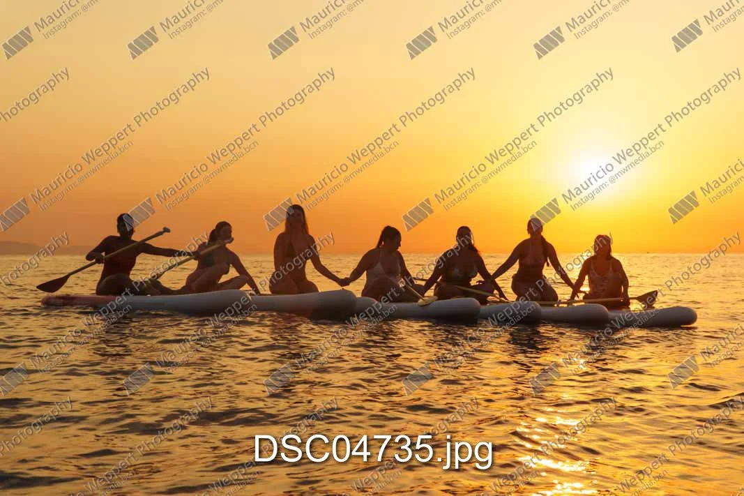 DSC04735.jpg