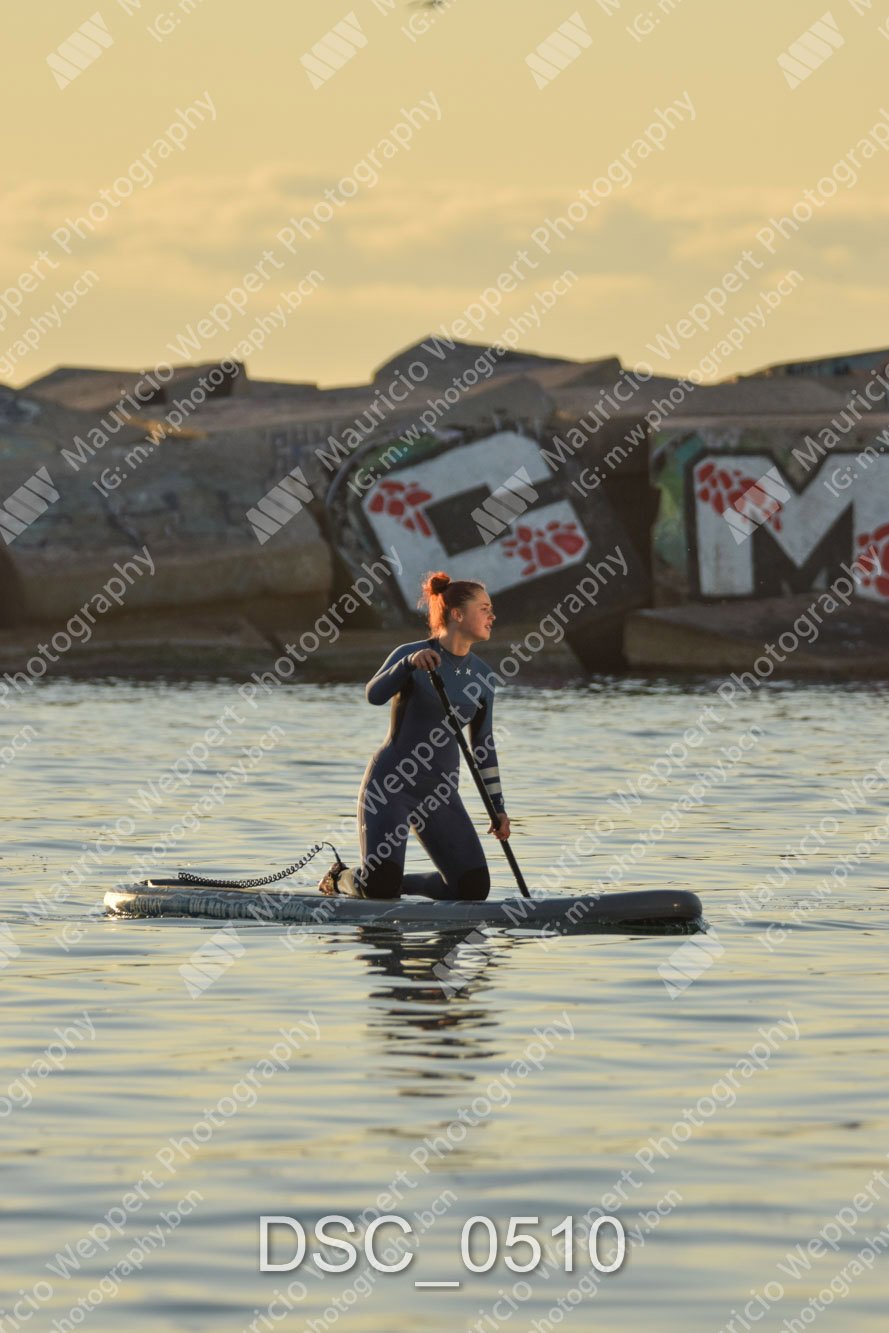 DSC_0510.jpg