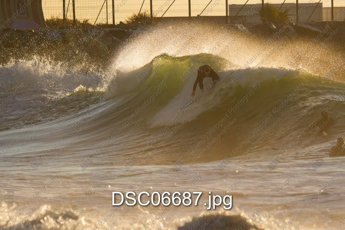 DSC06687.jpg