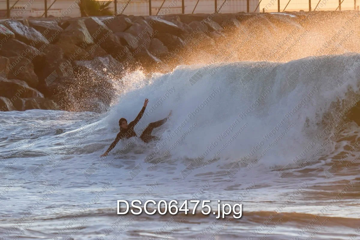 DSC06475.jpg