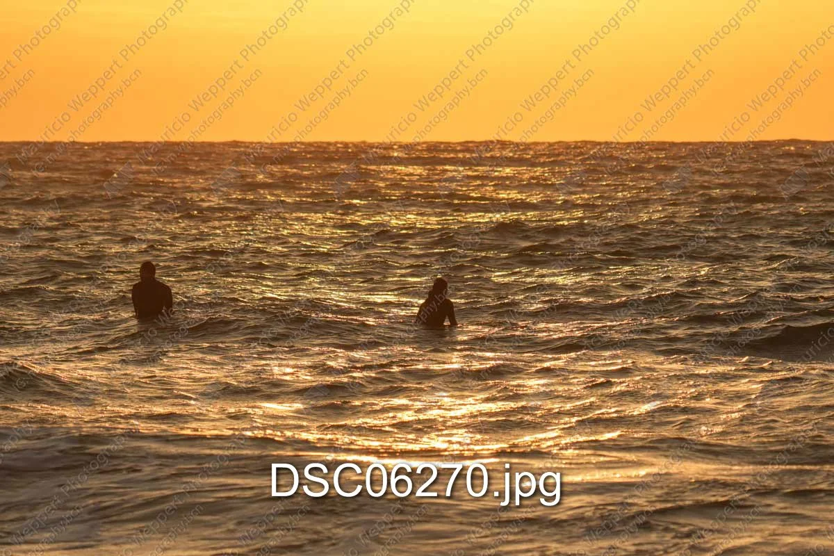 DSC06270.jpg