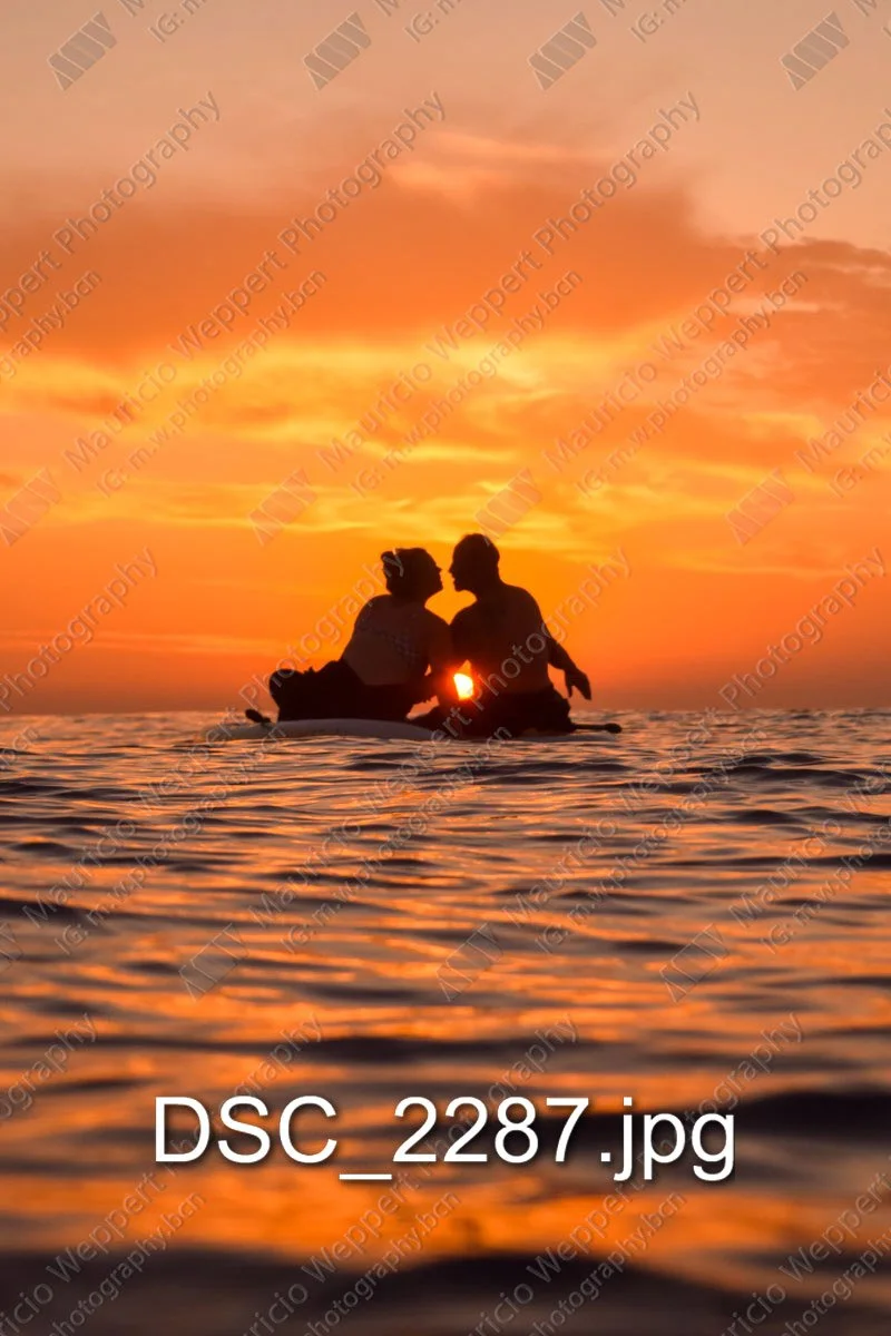 DSC_2287.jpg