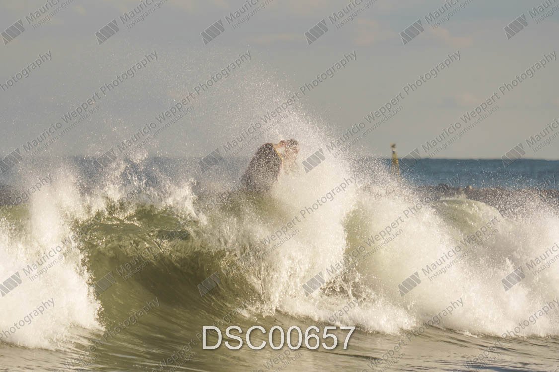 DSC00657.jpg