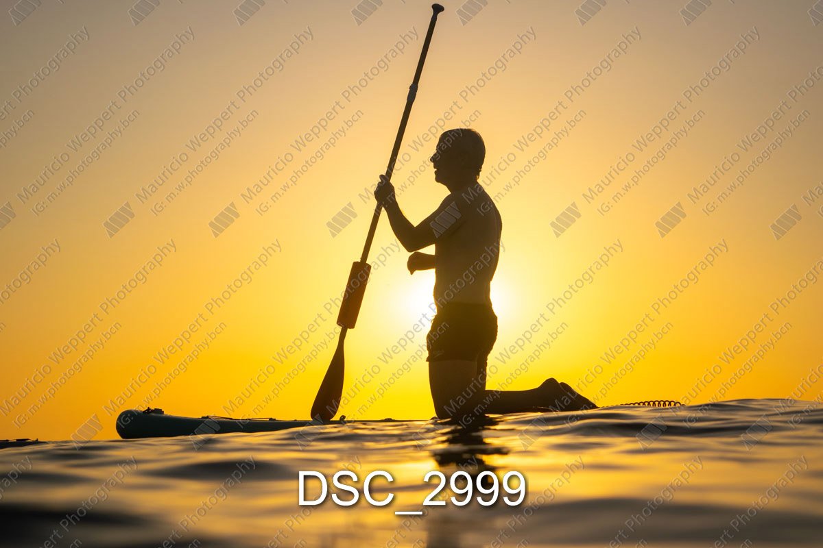 DSC_2999.jpg