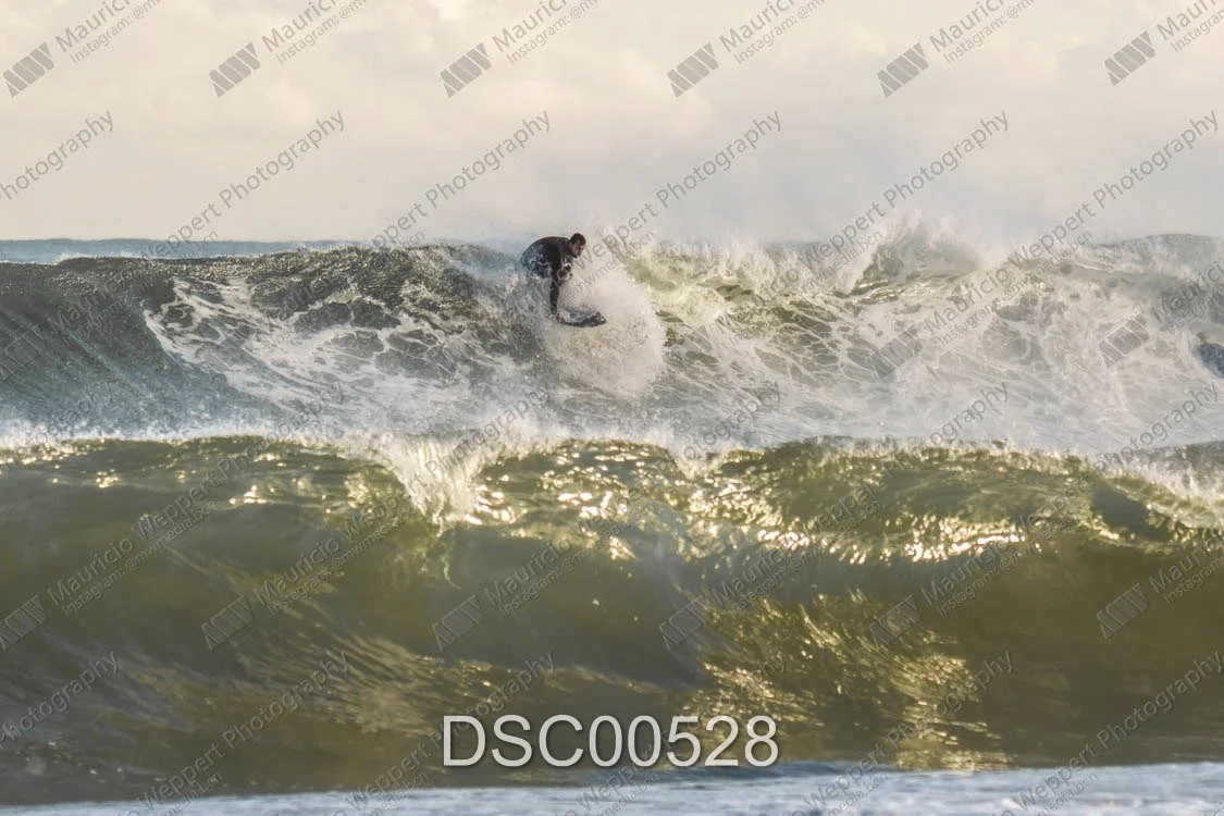 DSC00528.jpg