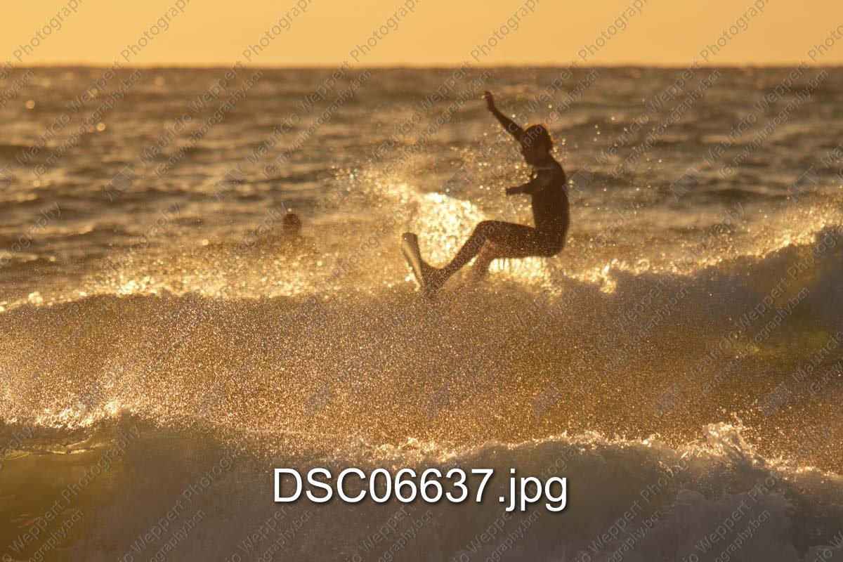DSC06637.jpg