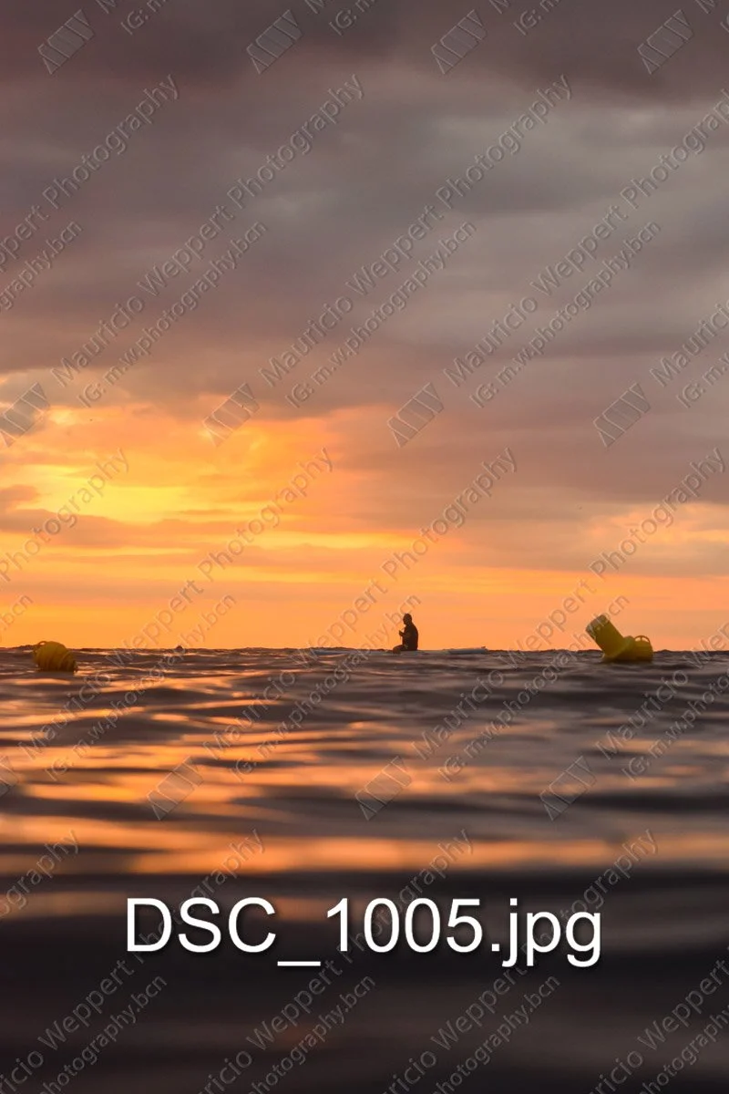 DSC_1005.jpg
