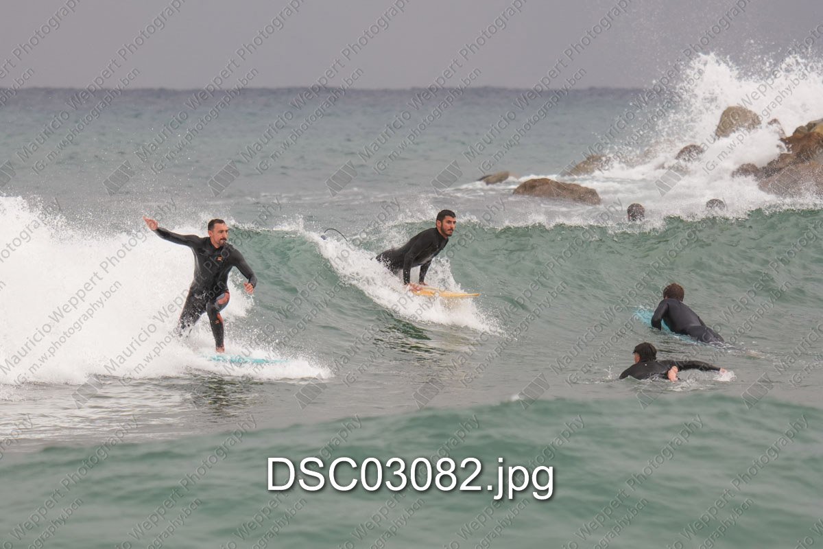 DSC03082.jpg