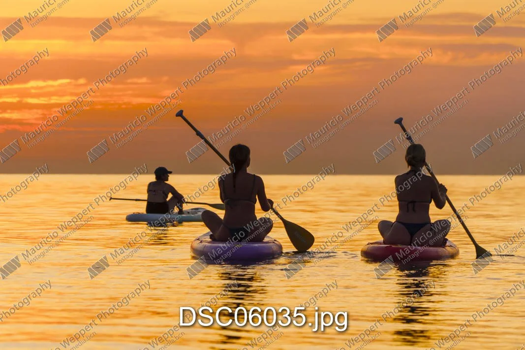 DSC06035.jpg
