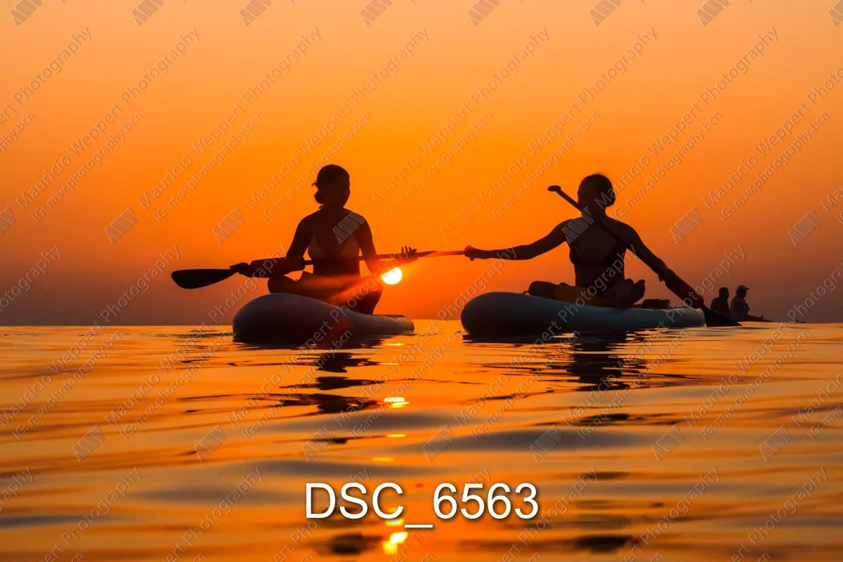DSC_6563.jpg