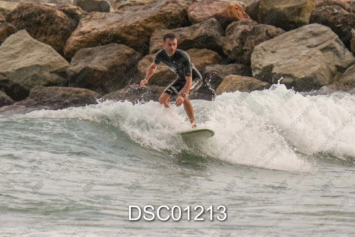DSC01213.jpg