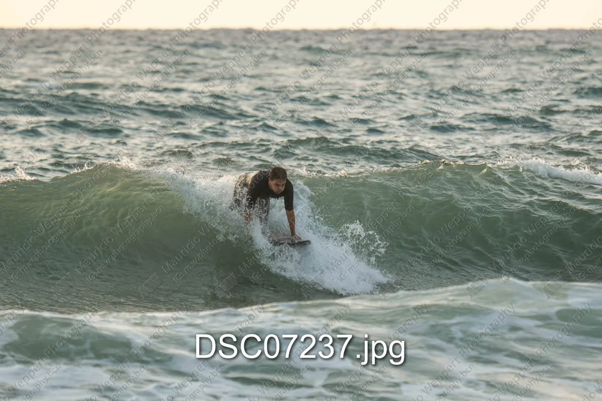 DSC07237.jpg