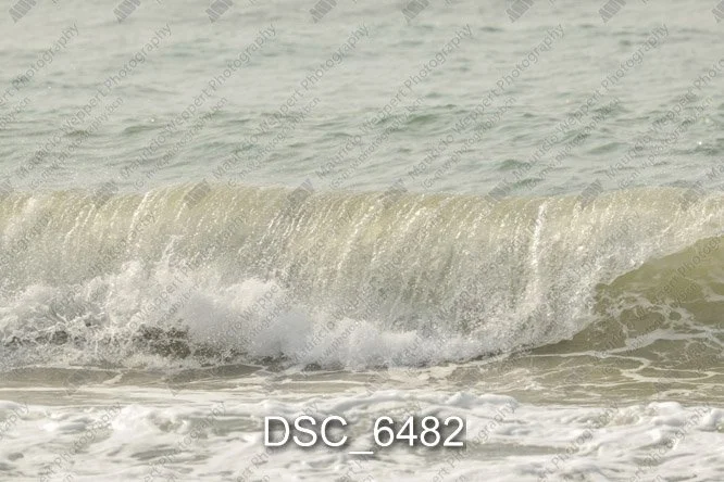 DSC_6482.jpg