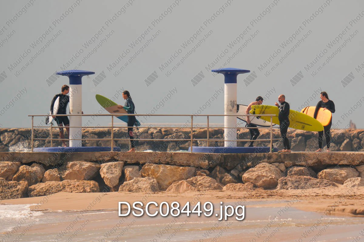 DSC08449.jpg