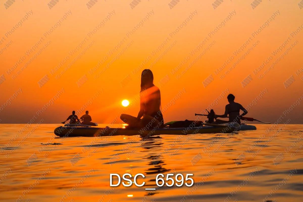 DSC_6595.jpg