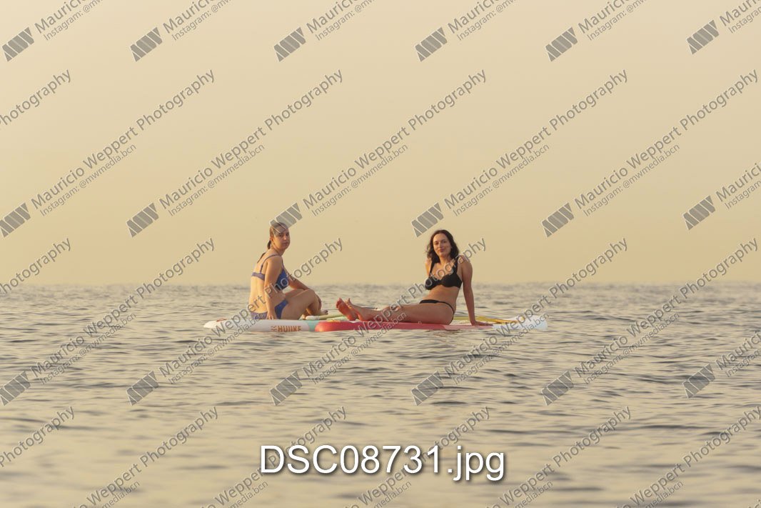 DSC08731.jpg